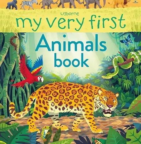 Book Publishing Author