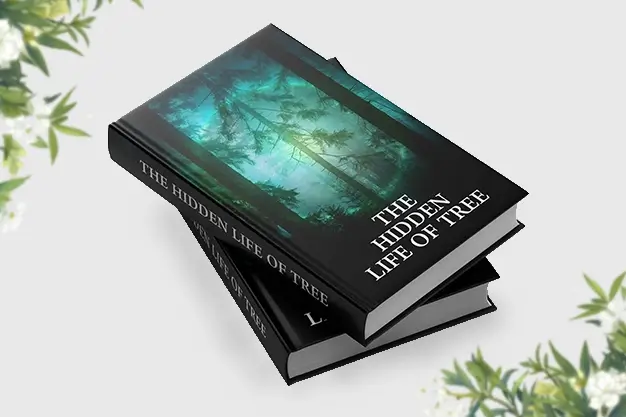 Book Publishing Author